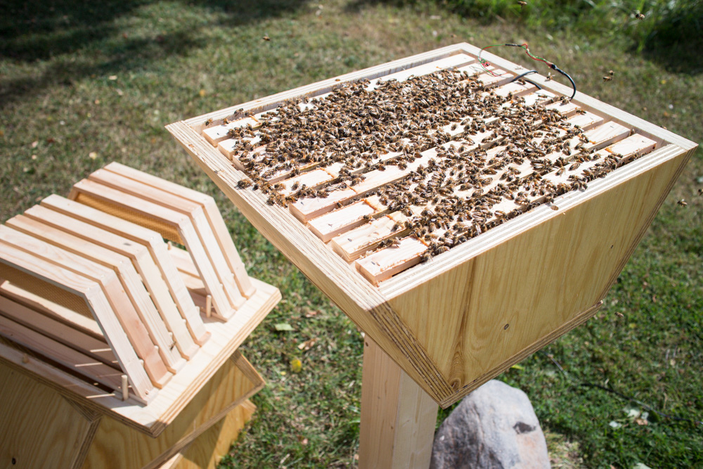 10324089065_df1d2bb3b5_b