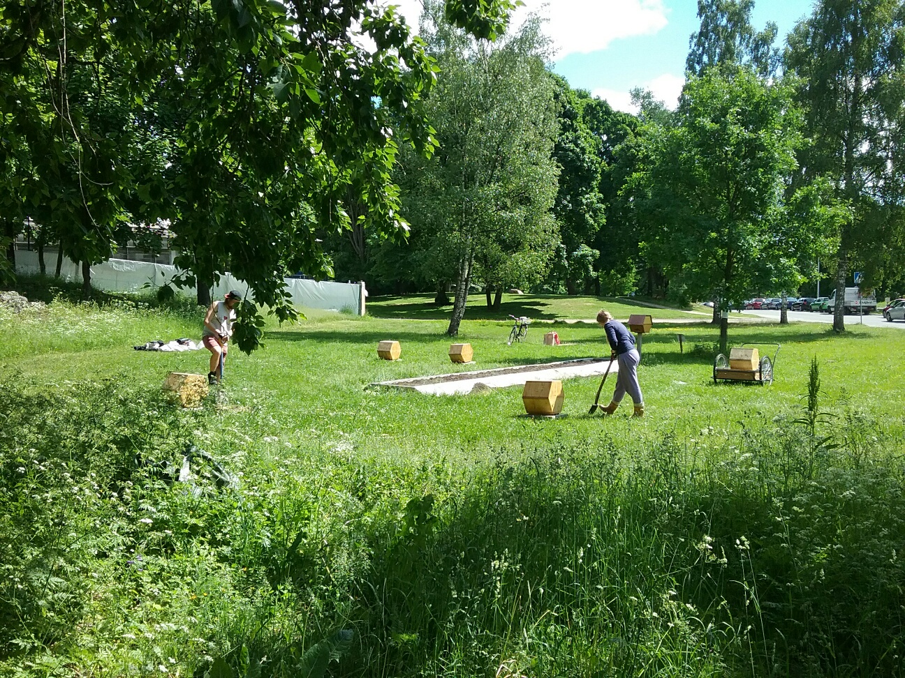 29393248691_f081d5396c_o