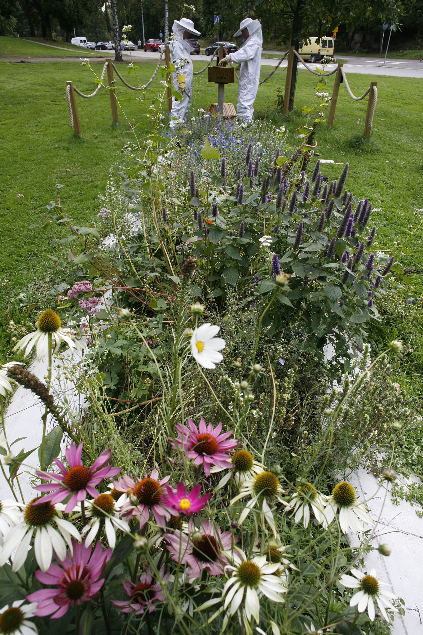 29472991495_e76f8c36fc_k