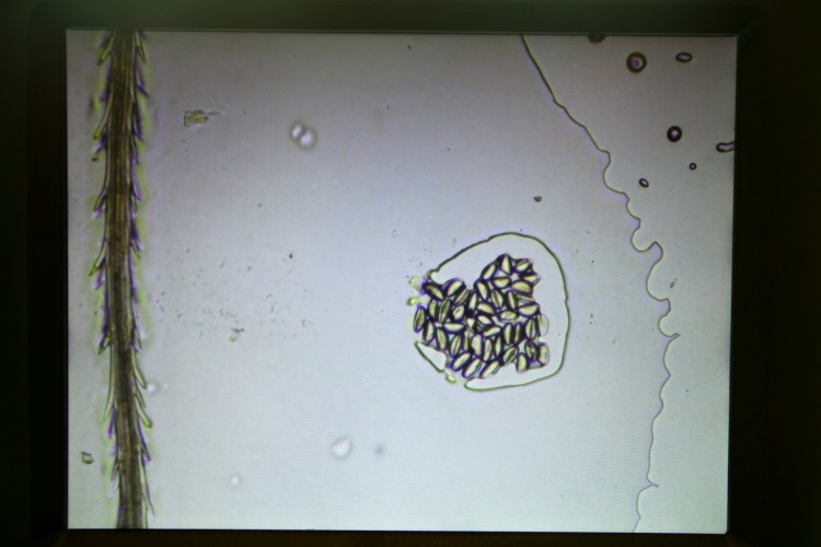 9841391964_7c41c0629b_k