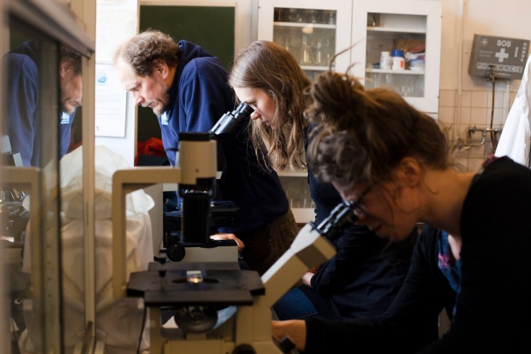 9841601356_753110804e_k