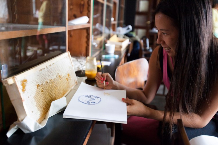 9841666665_3b80d1ed24_k